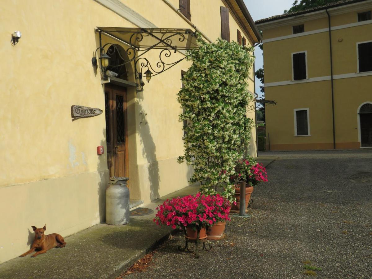 Agriturismo Rivieraoglio Piadena Exterior foto