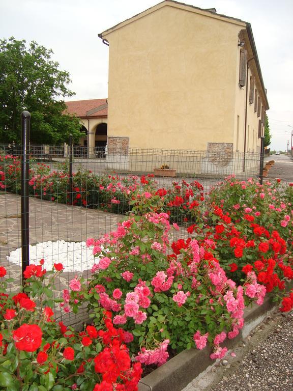 Agriturismo Rivieraoglio Piadena Exterior foto